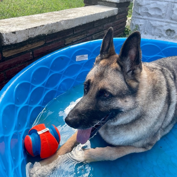 Hatchimom Live -host appreciation 11:20 am central - Picture 3 of 16